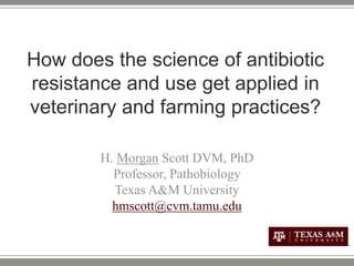 How does the science of antibiotic
resistance and use get applied in
veterinary and farming practices?
H. Morgan Scott DVM, PhD
Professor, Pathobiology
Texas A&M University
hmscott@cvm.tamu.edu
 