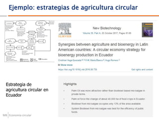 MB
Ejemplo: estrategias de agricultura circular
Economía circular
Estrategia de
agricultura circular en
Ecuador
 