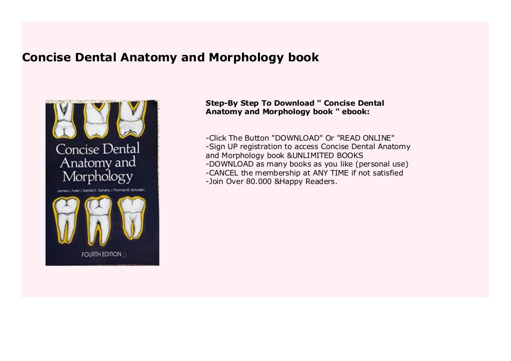Concise Dental Anatomy and Morphology book 445