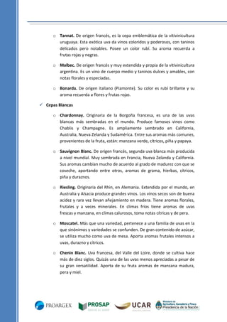 o Tannat. De origen francés, es la cepa emblemática de la vitivinicultura
uruguaya. Esta exótica uva da vinos coloridos y poderosos, con taninos
delicados pero notables. Posee un color rubí. Su aroma recuerda a
frutas rojas y negras.
o Malbec. De origen francés y muy extendida y propia de la vitivinicultura
argentina. Es un vino de cuerpo medio y taninos dulces y amables, con
notas florales y especiadas.
o Bonarda. De origen italiano (Piamonte). Su color es rubí brillante y su
aroma recuerda a flores y frutas rojas.
 Cepas Blancas
o Chardonnay. Originaria de la Borgoña francesa, es una de las uvas
blancas más sembradas en el mundo. Produce famosos vinos como
Chablis y Champagne. Es ampliamente sembrado en California,
Australia, Nueva Zelanda y Sudamérica. Entre sus aromas más comunes,
provenientes de la fruta, están: manzana verde, cítricos, piña y papaya.
o Sauvignon Blanc. De origen francés, segunda uva blanca más producida
a nivel mundial. Muy sembrada en Francia, Nueva Zelanda y California.
Sus aromas cambian mucho de acuerdo al grado de madurez con que se
coseche, aportando entre otros, aromas de grama, hierbas, cítricos,
piña y duraznos.
o Riesling. Originaria del Rhin, en Alemania. Extendida por el mundo, en
Australia y Alsacia produce grandes vinos. Los vinos secos son de buena
acidez y rara vez llevan añejamiento en madera. Tiene aromas florales,
frutales y a veces minerales. En climas fríos tiene aromas de uvas
frescas y manzana, en climas calurosos, toma notas cítricas y de pera.
o Moscatel. Más que una variedad, pertenece a una familia de uvas en la
que sinónimos y variedades se confunden. De gran contenido de azúcar,
se utiliza mucho como uva de mesa. Aporta aromas frutales intensos a
uvas, durazno y cítricos.
o Chenin Blanc. Uva francesa, del Valle del Loire, donde se cultiva hace
más de diez siglos. Quizás una de las uvas menos apreciadas a pesar de
su gran versatilidad. Aporta de su fruta aromas de manzana madura,
pera y miel.

 