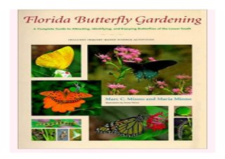 Florida Butterfly Gardening A Complete Guide To Attracting Identifyi