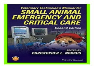 small animal emergency