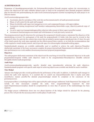 17129338 internal-audit-manual | DOCX