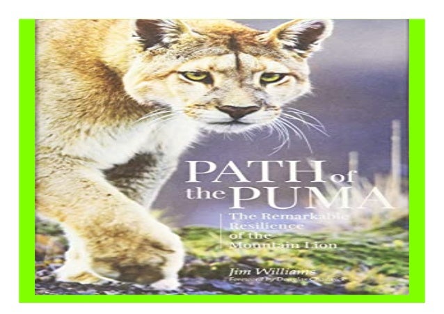 the path of the puma