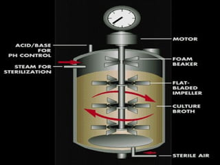 Chemical Reactors | PPT