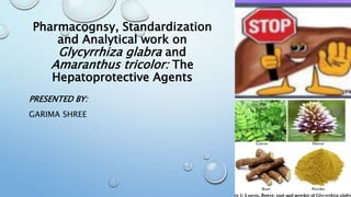 Pharmacognsy, Standardization
and Analytical work on
Glycyrrhiza glabra and
Amaranthus tricolor: The
Hepatoprotective Agents
PRESENTED BY:
GARIMA SHREE
 