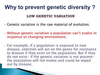 Life Without Varation Example Photo cover construction and genetic diversity | PPTX