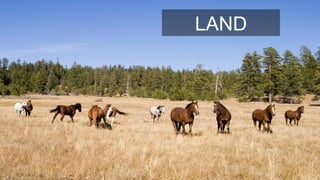 LAND
 