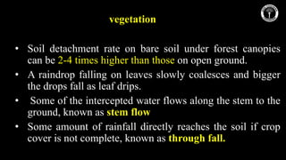 Rearing technique of lac insect and their management | PDF