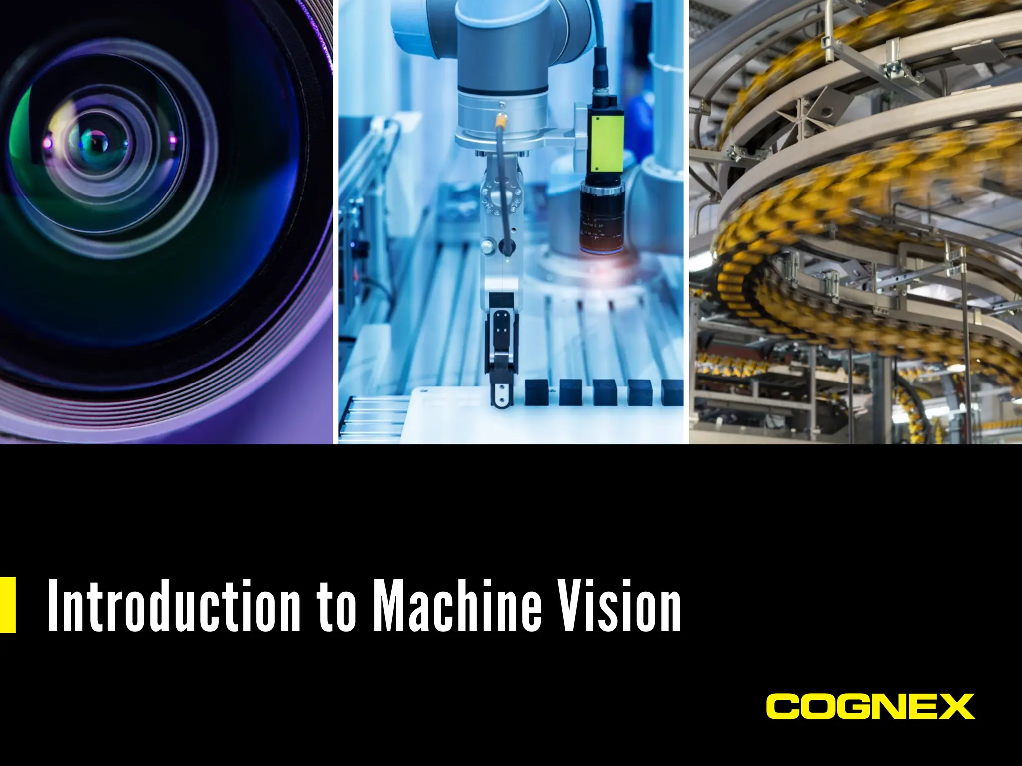 Introduction to Machine Vision
 