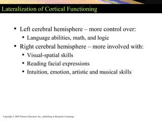 Copyright © 2005 Pearson Education, Inc., publishing as Benjamin Cummings
Lateralization of Cortical Functioning
• Left cerebral hemisphere – more control over:
• Language abilities, math, and logic
• Right cerebral hemisphere – more involved with:
• Visual-spatial skills
• Reading facial expressions
• Intuition, emotion, artistic and musical skills
 