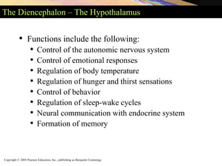 Copyright © 2005 Pearson Education, Inc., publishing as Benjamin Cummings
The Diencephalon – The Hypothalamus
• Functions include the following:
• Control of the autonomic nervous system
• Control of emotional responses
• Regulation of body temperature
• Regulation of hunger and thirst sensations
• Control of behavior
• Regulation of sleep-wake cycles
• Neural communication with endocrine system
• Formation of memory
 