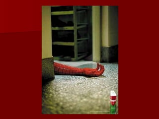 Publicidade criativa