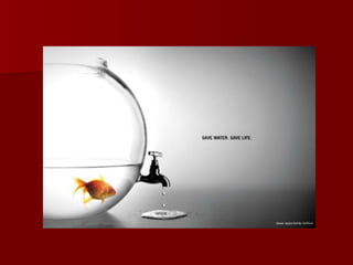 Publicidade criativa