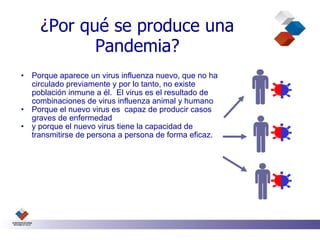 ¿Por qué se produce una
             Pandemia?
•   Porque aparece un virus influenza nuevo, que no ha
    circulado previamente y por lo tanto, no existe
    población inmune a él. El virus es el resultado de
    combinaciones de virus influenza animal y humano
•   Porque el nuevo virus es capaz de producir casos
    graves de enfermedad
•   y porque el nuevo virus tiene la capacidad de
    transmitirse de persona a persona de forma eficaz.
 