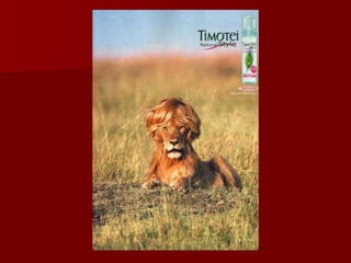 Publicidade criativa