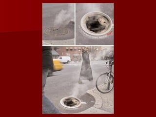 Publicidade criativa