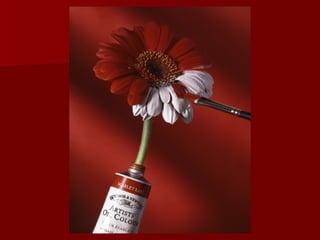 Publicidade criativa