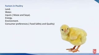 Factors in Poultry
Land.
Water.
Inputs ( Maize and Soya).
Energy.
Environment.
Consumer preferences.( Food Safety and Quality)
 