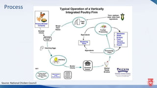 Process
Source: National Chicken Council
 