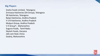 Big Players
Sneha Foods Limited, Telangana
Srinivasa Hatcheries (SH Group), Telangana
SR Hatcheries, Telangana
Balaji Hatcheries, Andhra Pradesh
V S N Hatcheries, Andhra Pradesh
Mulpuri Group, Andhra Pradesh
V H Group*, Maharashtra
Suguna Foods, Tamil Nadu.
Skylark Foods, Haryana
Jafa com feed, China
Godrej, Maharashtra
 