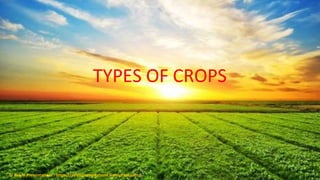 TYPES OF CROPS
© Aviyal Presentations : https://aviyalpresentations.wordpress.com/
 