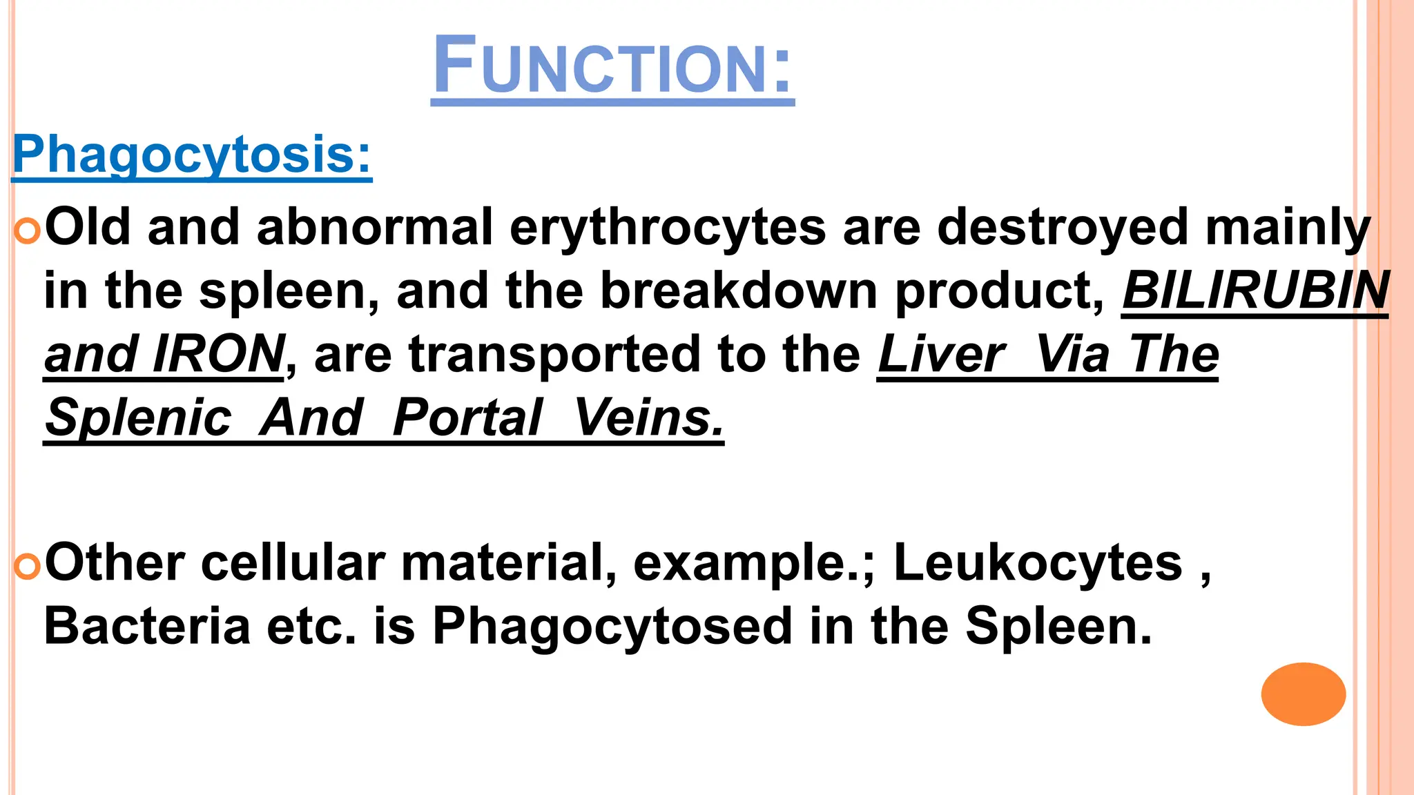 Spleen And Lymph Nodes Anatomy And Physiology Pptx