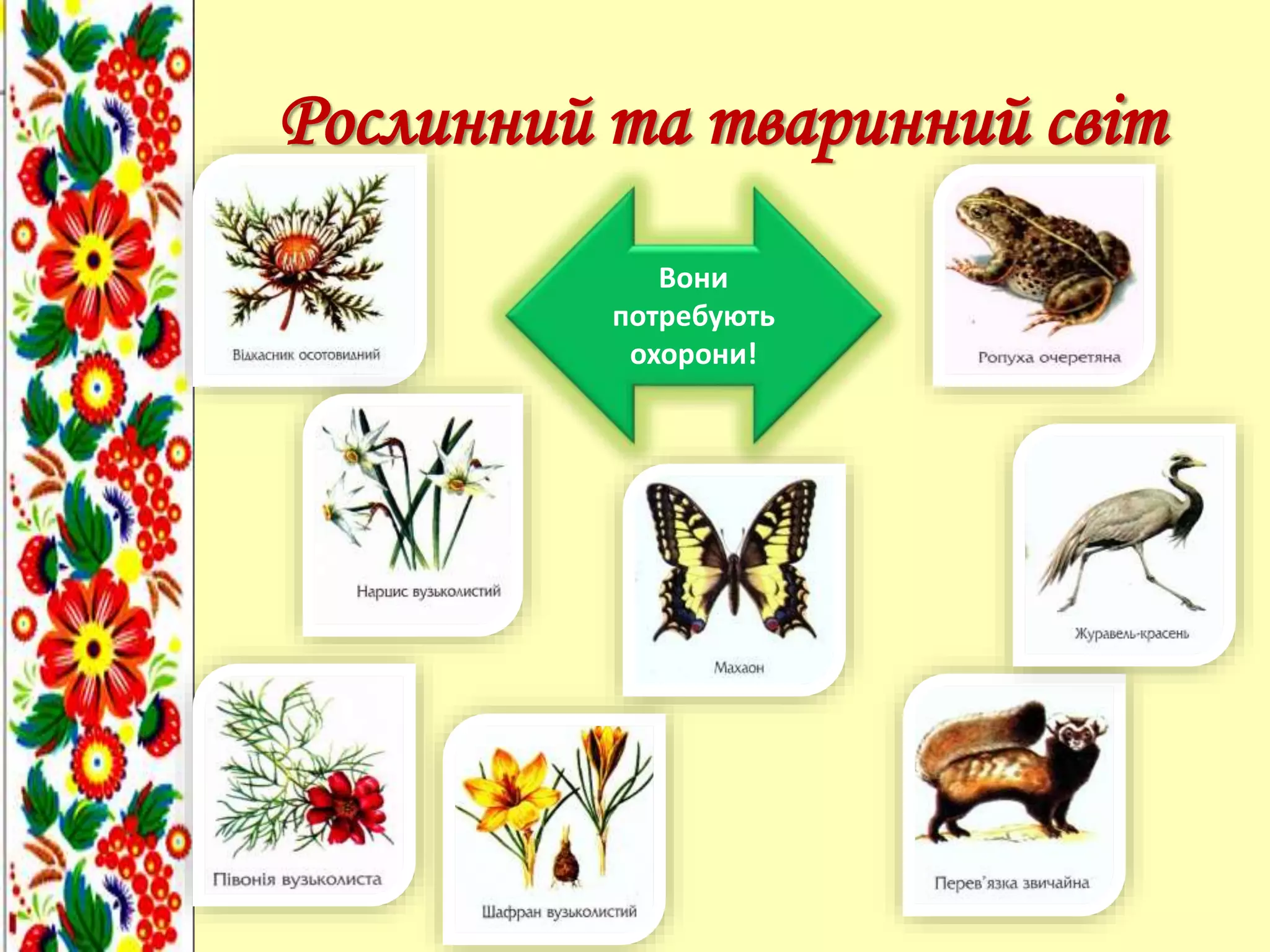 Рослинний та тваринний світ
Вони
потребують
охорони!
 
