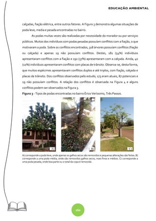 160
calçadas, fiação elétrica, entre outros fatores. A Figura 3 demonstra algumas situações de
poda leve, media e pesada encontradas no bairro.
As podas muitas vezes são realizadas por necessidade do morador ou por serviços
públicos. Muitos dos indivíduos com podas pesadas possuíam conflitos com a fiação, o que
motivaram a poda. Sobre os conflitos encontrados, 318 árvores possuíam conflitos (fiação
ou calçada) e apenas 19 não possuíam conflitos. Destes, 181 (54%) indivíduos
apresentaram conflitos com a fiação e 192 (57%) apresentaram com a calçada. Ainda, 40
(12%) indivíduos apresentaram conflitos com placas de trânsito. Observa-se, desta forma,
que muitos espécimes apresentavam conflitos duplos e até triplos, com fiação, calçada e
placas de trânsito. Dos conflitos observados pelo estudo, 173 eram atuais, 87 potenciais e
19 não possuíam conflitos. A relação dos conflitos é observada na Figura 4 e alguns
conflitos podem ser observados na Figura 3.
Figura 3 - Tipos de podas encontradas no bairro Érico Veríssimo, Três Passos.
A) corresponde a poda leve, onde apenas os galhos secos são removidos e pequenas alterações são feitas. B)
corresponde a uma poda média, onde são removidos galhos secos, mais finos e médios. C) corresponde a
uma poda pesada, onde boa parte ou o total da copa é removida.
 