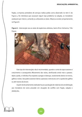 162
fiação, a empresa prestadora de serviços realiza podas como observado no item C da
Figura 5. Os indivíduos que causavam algum tipo problema na calçada, os moradores
acabavam por intervir, cortando ou sufocando as raízes. Observa-se este comportamento
na Figura 6.
Figura 6 - Intervenção nas as raízes de espécimes arbóreos, bairro Érico Veríssimo, Três
Passos
Este tipo de intervenções não é recomendado, quando o corte da copa ocasiona o
crescimento e consequente afloramento das raízes, danificando ainda mais o passeio.
Após a poda, o indivíduo fica exposto a pragas e doenças, ocasionando danos no tronco,
galhos e raízes. Isto pode ocasionar danos a pessoas e estruturas com a queda dos galhos
ou até mesmo da árvore.
A partir do levantamento realizado houve a produção de materiais de sensibilização
aos moradores de como proceder em situações de conflito com fiação, calçada e
obstáculos.
 