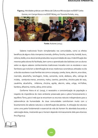 220
Figura 4: Atividades práticas com Meios de Cultura e Microscópio na EEIEF Carlos
Gomes, em Campo Novo e na EEIEF Mùkej, em Tenente Portela, 2014.
Fonte: Autores (2014).
Saberes tradicionais foram reimplantados nas comunidades, como os efeitos
benéficos de alguns chás e temperos (marcela, cânfora, funcho, camomila, hortelã, louro,
cidreira, boldo, erva-doce) sendoproduzidosnas proximidades de casa. A identificação dos
mesmos pelos alunos foi facilitada, bem como o aprendizado dos bolsistas com os alunos
sobre os alguns saberes conhecimentos tradicionais trocados com os escolares e seus
familiares que incluíram a identificação de ervas-medicinas e aromáticas utilizadas no dia
a dia dos escolares e suas famílias tais como a carqueja, canela, losna, alecrim, erva-doce,
marmelo, alcachofra, tanchagem, limão, camomila, romã, abóbora, alho, catinga de
mulata, centáurea-menor, amoreira, malva, coentro, penicilina, chicória pata de vaca,
cavalinha, alcachofra, infalivina, chicória, agrião, alecrim, salsa, urtiga, mil-folhas,
bardana, alfazema, menta, sálvia, entre outras.
Conforme Vieira et al. (2019), é necessário a conscientização da população a
respeito da importância do meio ambiente preservado para o pleno funcionamento e
equilíbrio Terra, pois é nela que se encontram os recursos naturais indispensáveis para a
sobrevivência da humanidade. As duas comunidades contribuíram muito com o
levantamento de saberes naturais e a identificação das plantas. A utilização da natureza
como uma parte fundamental e essencial da vida do homem foi abordada buscando a
valorização desta, mostrando que o homem depende intrinsecamente dela para diversos
fins (Figura 5).
 