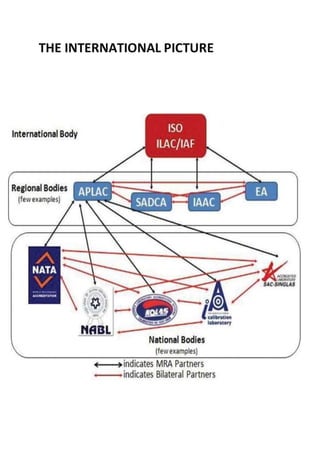 THE INTERNATIONAL PICTURE
 