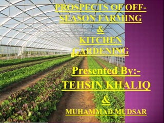 Presented By:-
TEHSIN KHALIQ
&
MUHAMMAD MUDSAR
 