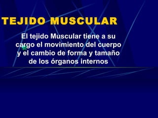 TEJIDO MUSCULAR
El tejido Muscular tiene a su
cargo el movimiento del cuerpo
y el cambio de forma y tamaño
de los órganos internos
 