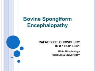 Bovine Spongiform
Encephalopathy
RAFAT FOIZE CHOWDHURY
ID # 172-016-061
MS in Microbiology
PRIMEASIA UNIVERSITY
1
 
