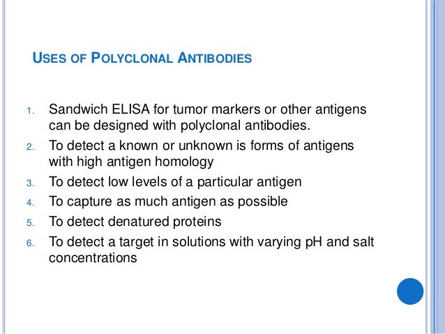 monoclonal and polyclonal antibodies polyclonal antibodies