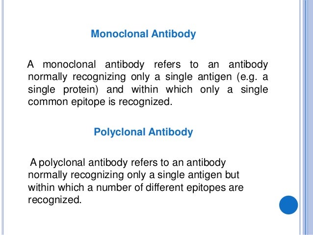 monoclonal and polyclonal antibodies polyclonal antibodies