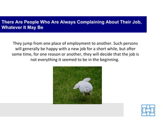 There Are People Who Are Always Complaining About Their Job, Whatever It May Be They jump from one place of employment to ...