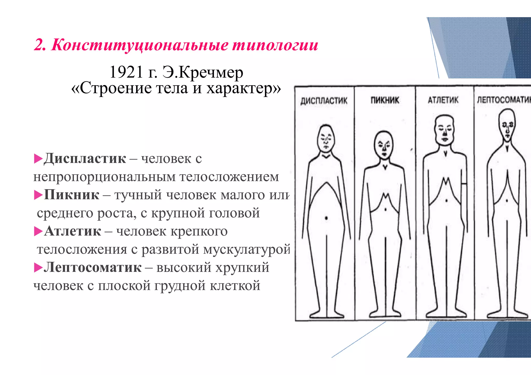 2. Конституциональные типологии
1921 г. Э.Кречмер
«Строение тела и характер»
Диспластик – человек с
непропорциональным телосложением
Пикник – тучный человек малого или
среднего роста, с крупной головой
Атлетик – человек крепкого
телосложения с развитой мускулатурой
Лептосоматик – высокий хрупкий
человек с плоской грудной клеткой
2. Конституциональные типологии
«Строение тела и характер»
непропорциональным телосложением
тучный человек малого или
телосложения с развитой мускулатурой
высокий хрупкий
 
