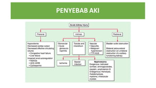 Diagnosis and Renal Replacement Therapy in Acute Kidney Injury (AKI ...