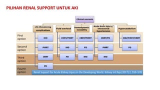 Diagnosis and Renal Replacement Therapy in Acute Kidney Injury (AKI ...
