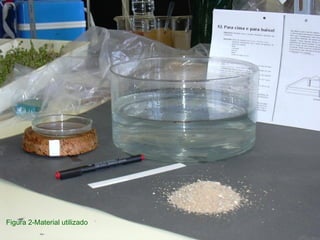 Figura 2-Material utilizado
 