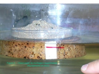 Figura 3. – Observação da montagem experimental:
-Afundamento do bloco
 