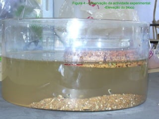 Figura 4 –Observação da actividade experimental:
-Elevação do bloco
 