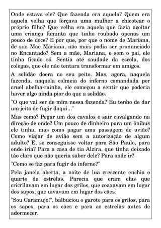 Onde estava ele? Que fazenda era aquela? Quem era
aquela velha que forçava uma mulher a chicotear o
próprio filho? Que velha era aquela que fazia açoitar
uma criança faminta que tinha roubado apenas um
pouco de doce? E por que, por que o nome de Mariana,
de sua Mãe Mariana, não mais podia ser pronunciado
no Encantado? Sem a mãe, Mariana, e sem o pai, ele
tinha ficado só. Sentia até saudade da escola, dos
colegas, que ele não tentara transformar em amigos.
A solidão doera no seu peito. Mas, agora, naquela
fazenda, naquela colmeia do inferno comandada por
cruel abelha-rainha, ele começou a sentir que poderia
haver algo ainda pior do que a solidão.
"O que vai ser de mim nessa fazenda? Eu tenho de dar
um jeito de fugir daqui..."
Mas como? Pegar um dos cavalos e sair cavalgando na
direção de onde? Um pouco de dinheiro para um ônibus
ele tinha, mas como pagar uma passagem de avião?
Como viajar de avião sem a autorização de algum
adulto? E, se conseguisse voltar para São Paulo, para
onde iria? Para a casa de tia Alzira, que tinha deixado
tão claro que não queria saber dele? Para onde ir?
"Como se faz para fugir do inferno?"
Pela janela aberta, a noite de lua crescente enchia o
quarto de estrelas. Parecia que eram elas que
cricrilavam em lugar dos grilos, que coaxavam em lugar
dos sapos, que uivavam em lugar dos cães.
"Sou Caramujo!", balbuciou o garoto para os grilos, para
os sapos, para os cães e para as estrelas antes de
adormecer.
 