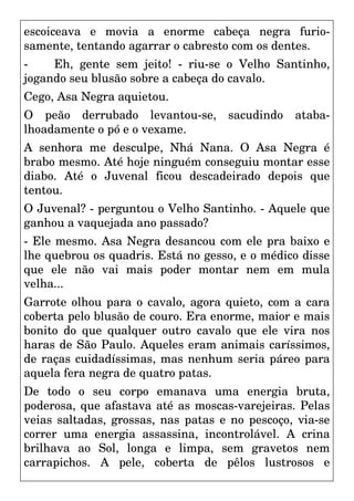 escoiceava e movia a enorme cabeça negra furio-
samente, tentando agarrar o cabresto com os dentes.
- Eh, gente sem jeito! - riu-se o Velho Santinho,
jogando seu blusão sobre a cabeça do cavalo.
Cego, Asa Negra aquietou.
O peão derrubado levantou-se, sacudindo ataba-
lhoadamente o pó e o vexame.
A senhora me desculpe, Nhá Nana. O Asa Negra é
brabo mesmo. Até hoje ninguém conseguiu montar esse
diabo. Até o Juvenal ficou descadeirado depois que
tentou.
O Juvenal? - perguntou o Velho Santinho. - Aquele que
ganhou a vaquejada ano passado?
- Ele mesmo. Asa Negra desancou com ele pra baixo e
lhe quebrou os quadris. Está no gesso, e o médico disse
que ele não vai mais poder montar nem em mula
velha...
Garrote olhou para o cavalo, agora quieto, com a cara
coberta pelo blusão de couro. Era enorme, maior e mais
bonito do que qualquer outro cavalo que ele vira nos
haras de São Paulo. Aqueles eram animais caríssimos,
de raças cuidadíssimas, mas nenhum seria páreo para
aquela fera negra de quatro patas.
De todo o seu corpo emanava uma energia bruta,
poderosa, que afastava até as moscas-varejeiras. Pelas
veias saltadas, grossas, nas patas e no pescoço, via-se
correr uma energia assassina, incontrolável. A crina
brilhava ao Sol, longa e limpa, sem gravetos nem
carrapichos. A pele, coberta de pêlos lustrosos e
 