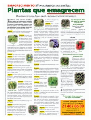 DESTAK – Lisboa – 04.09.2007