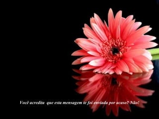 Você acredita que esta mensagem te foi enviada por acaso? Não!
 