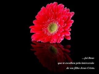 …foi Deus
que te escolheu pela intercessão
       de seu filho Jesus Cristo.
 
