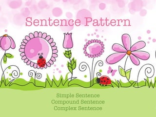 Sentence Pattern

Simple Sentence
Compound Sentence
Complex Sentence

 